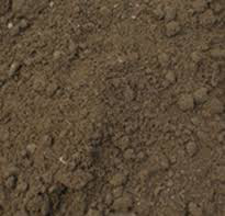 Screened topsoil